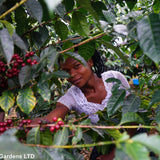 Ouganda (TCY - Muki Fruity)