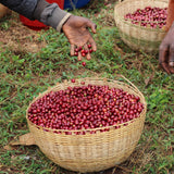 Ethiopie (Taferi Kela)